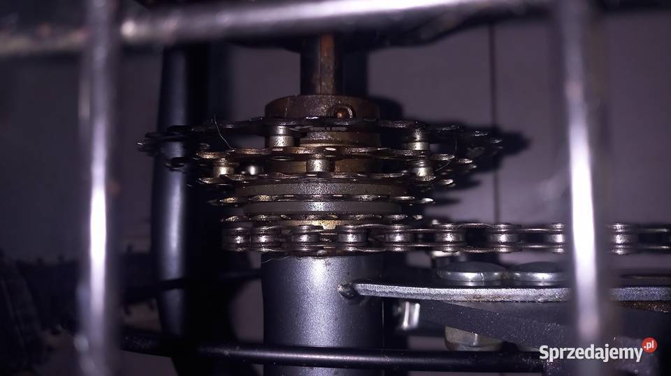 Rower trójkołowy elektryczny Kamrad Lewin Brzeski