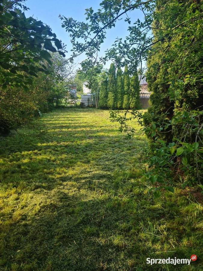 Działka ROD im J Kilińskiego w Staszowie 23m Sprzedaż Staszów