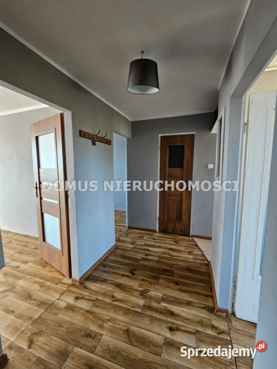 sprzedaży mieszkania 6096m2 4 pokoje Koluszki łódzkie sprzedam