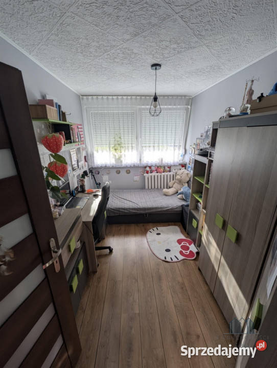 Sprzedam mieszkanie 484m2 3pokojowe Zgorzelec dolnośląskie