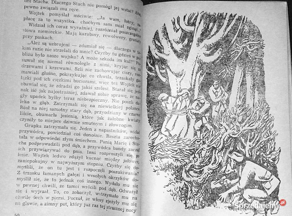 Chłopcy ze Starówki Halina Rudnicka Chełm sprzedam