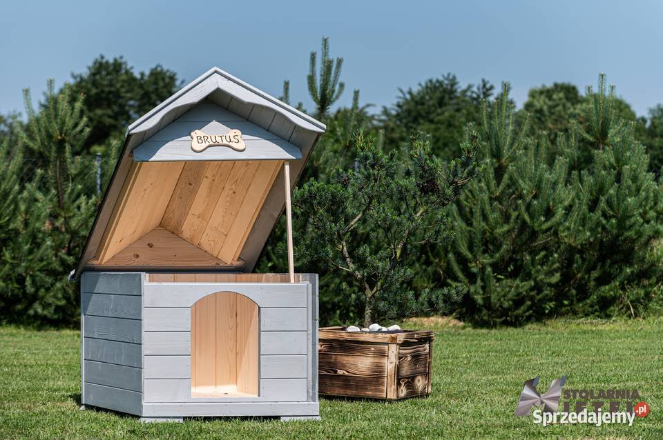 Buda dużego psa PRODUCENT WYSYŁKA CAŁA POLSKA Stopnica