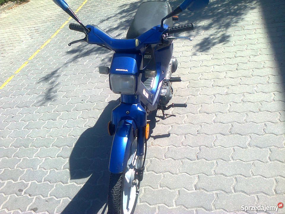 honda wallaroo Lublin