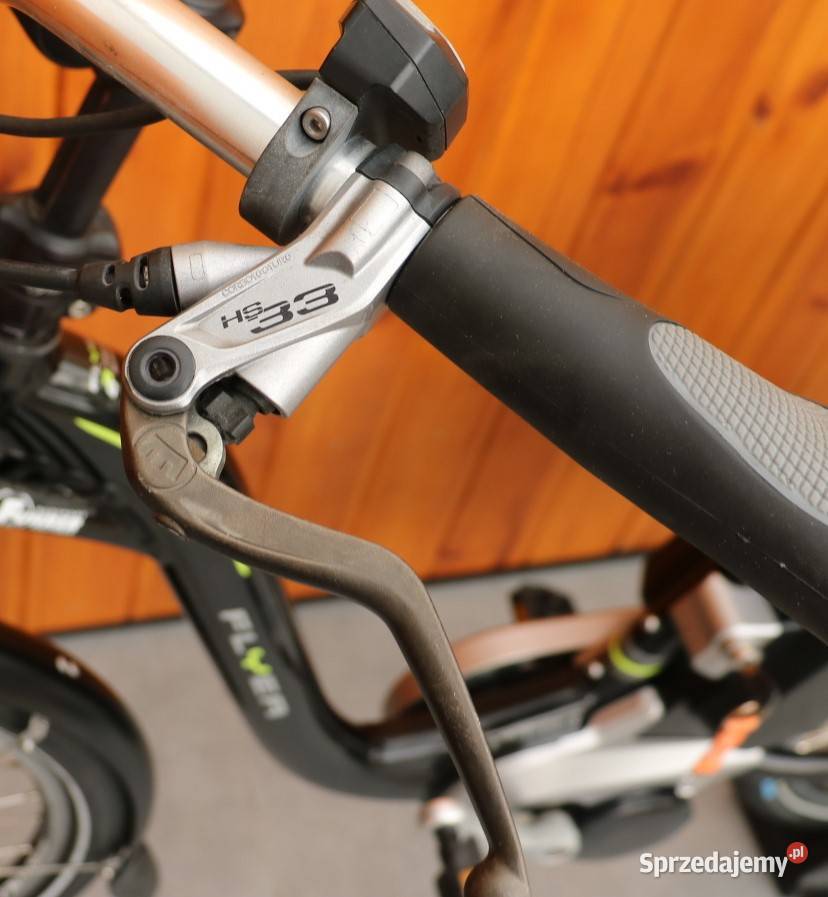 Rower elektryczny Flyer D 45 I inne rowery