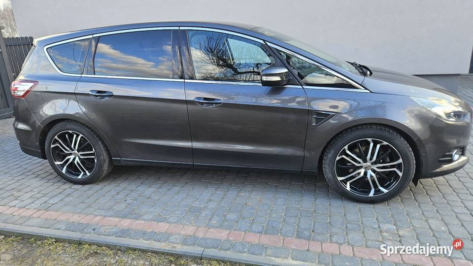 Ford S 20 TDCI 180 Gubin