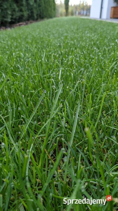 Ziemia ogrodowa ziemia przesiewana torf Warszawa