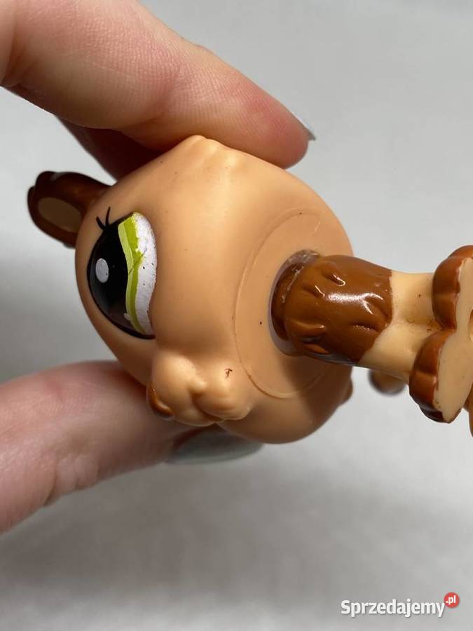LPS Littlest pet shop 2227 Łódź sprzedam