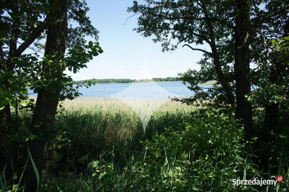 Działka rolna Jeziorem Białym Rajgrodzkim rolna
