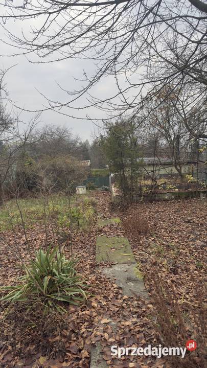 Działka rekreacyjna ROD Będzin 126zł/m2