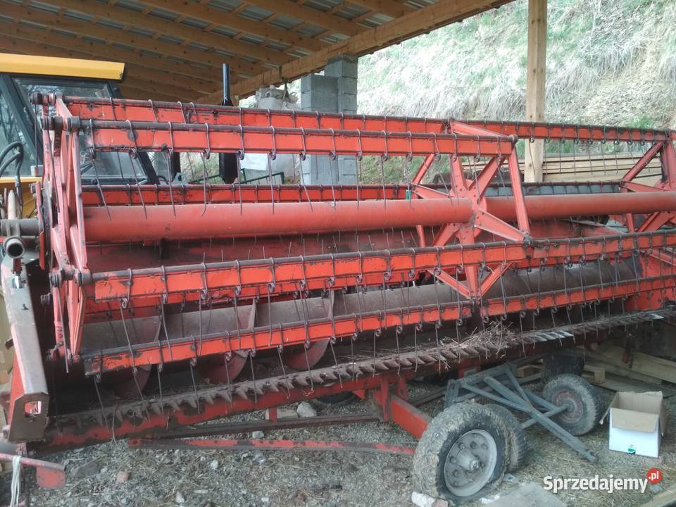 Heder do Bizona Dąbrówka