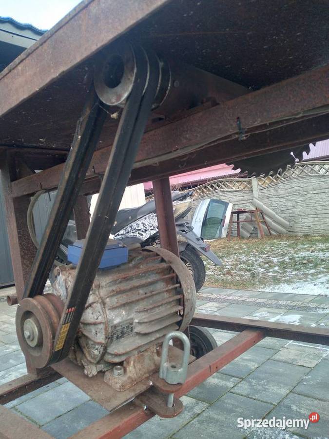 Krajzega pila stolowa