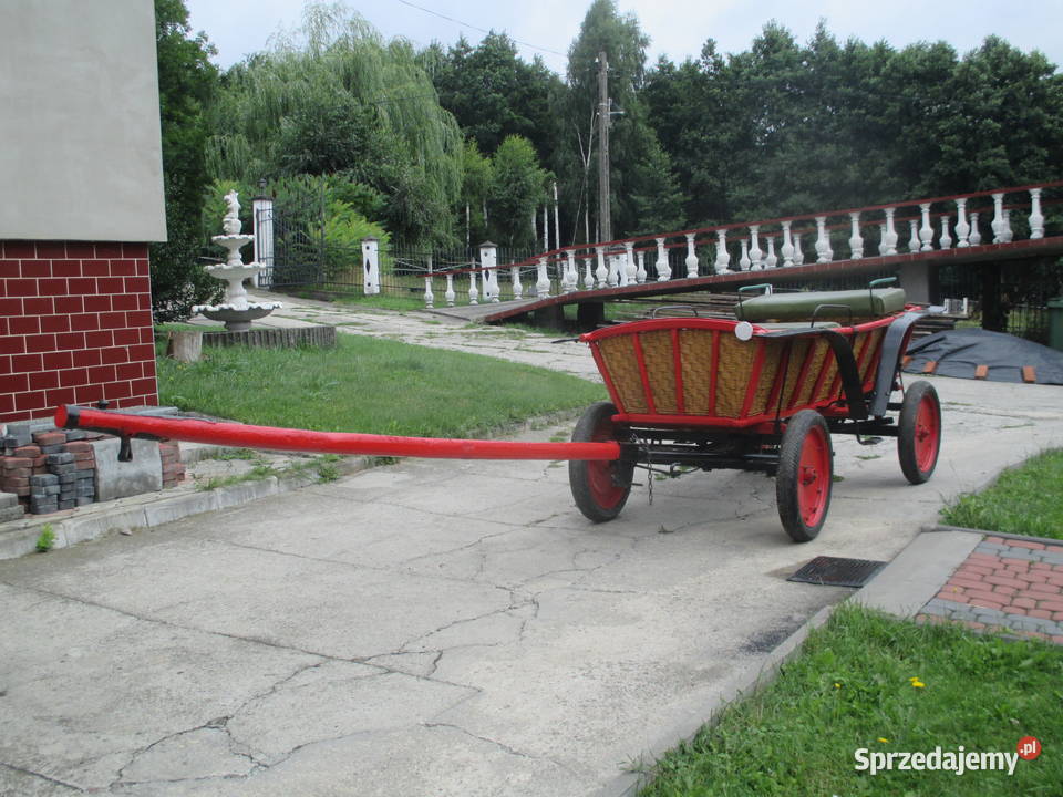 hodowla hucułów handzlówka Konie podkarpackie
