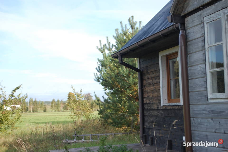 Dom rzeką Czarna Hańcza Wynajem