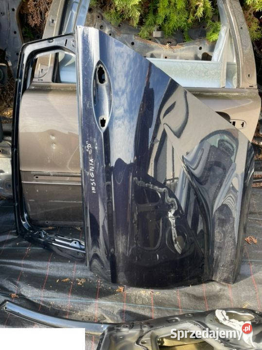 Opel Insignia 19 drzwi lewy tył Kozubszczyzna