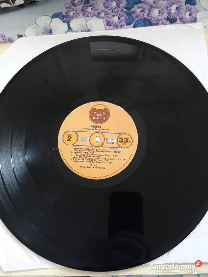 FOGHAT Foghat Bearsville Records USA1972 Rzeszów sprzedam