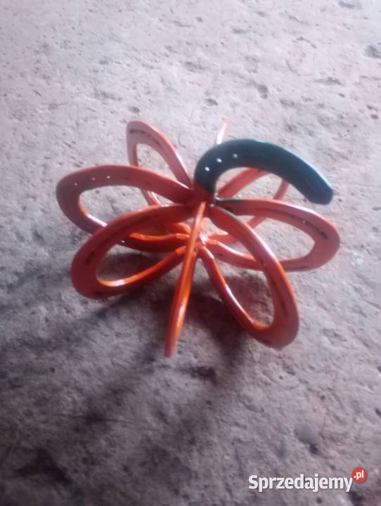 dynia ozdoba Wieluń sprzedam