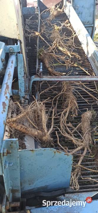 Sprzedam kombajn Karlik do kopania chrzanu i Lipnik