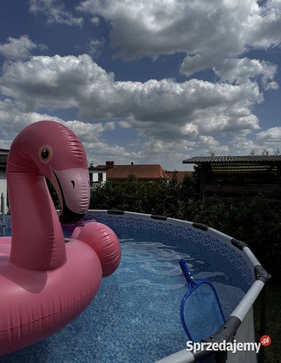 Basen ogrodowy Grudziądz