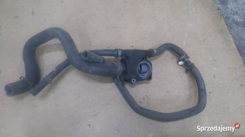 Obudowa termostatu z termostatem Ford Focus mk1 Krośniewice