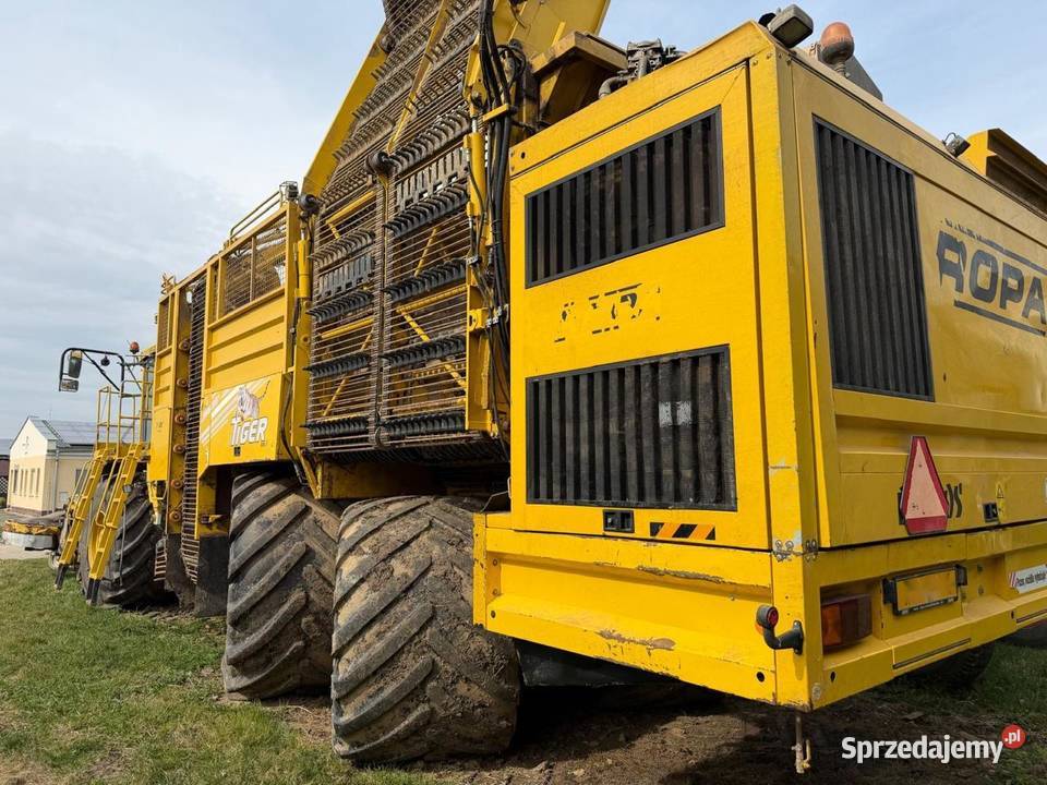 Kombajn do Buraków Ropa Tiger Do ziemniaków i warzyw Nowa Ruda