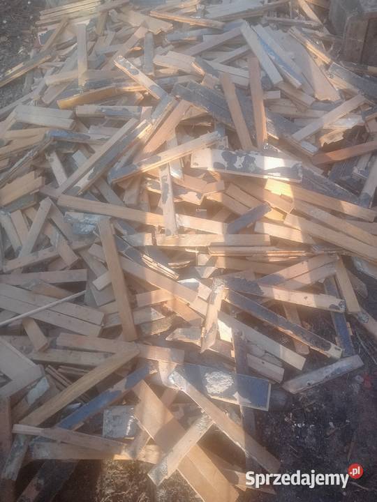 Parkiet klepki dębowy bukowy jesionowy bukowy Czernikowo sprzedam