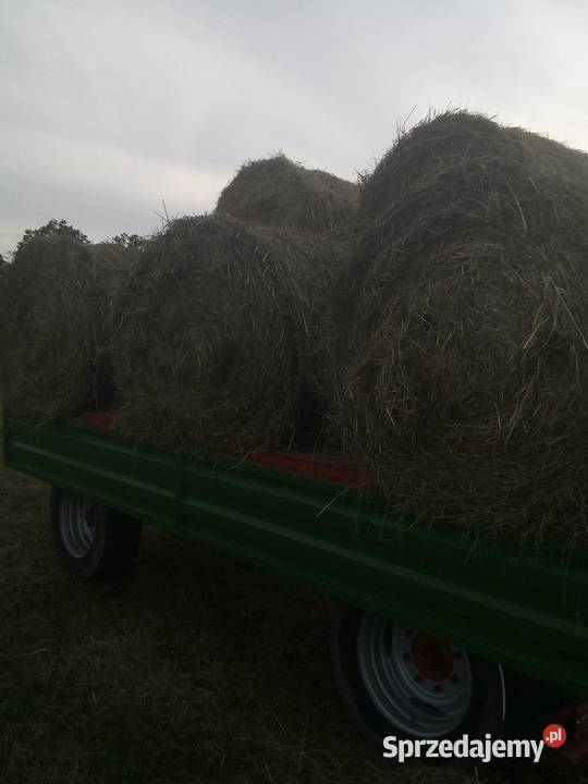 Siano w belach Trawy, słoma Ostrów Wielkopolski