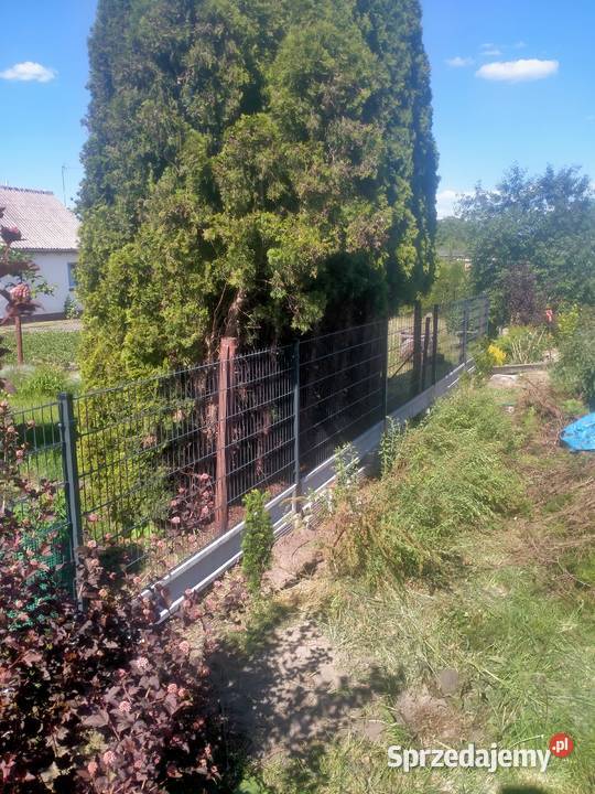 Montaż ogrodzeń panelowych Sośno