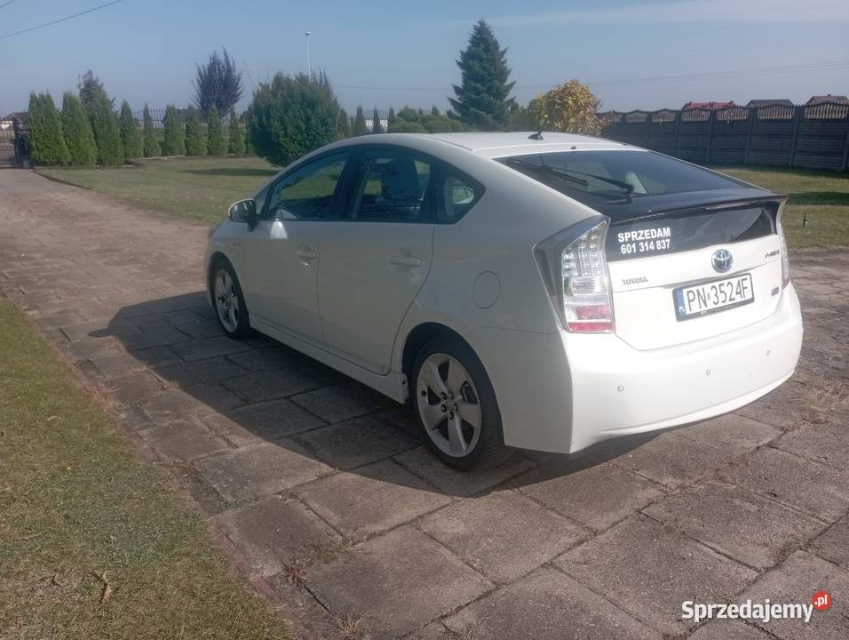 Toyota Prius Konin
