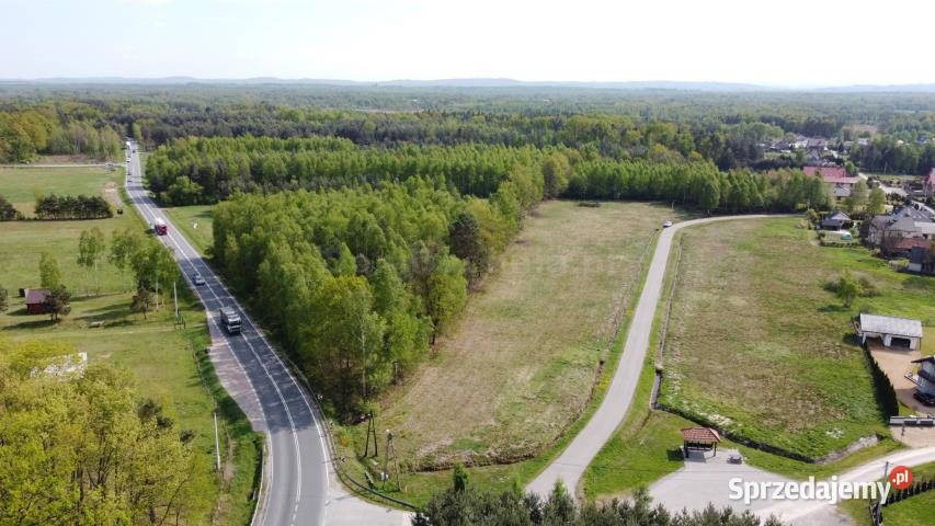 sprzedaży gruntu 17500m2 RudyRysie asfalt Rudy-Rysie