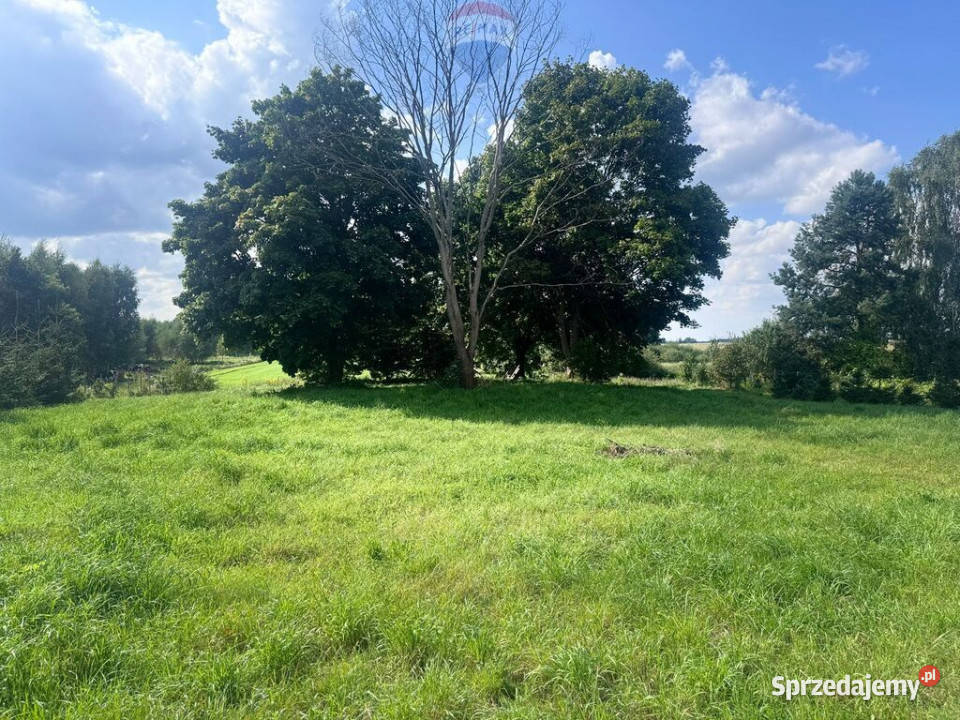 Przezmark 156 ha pod siedlisko inwestycję Sprzedaż sprzedam