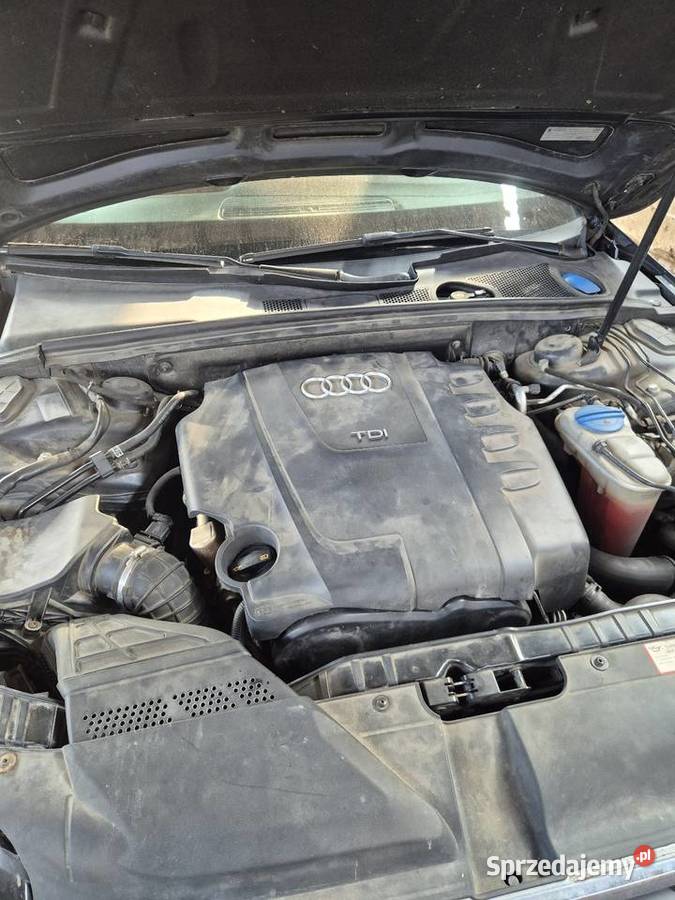 Audi A4 zadbana super stan radio wielkopolskie