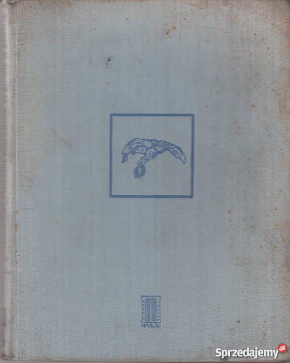 02504 UDZIAŁ POLAKÓW W BITWIE O NGLIĘ ALBUM Czyrna