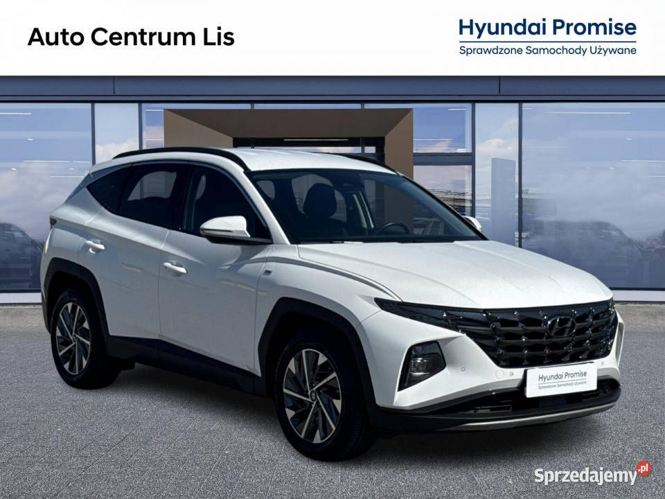 Salon Polska Autoryzowany dealer Executive 4/5 Kalisz