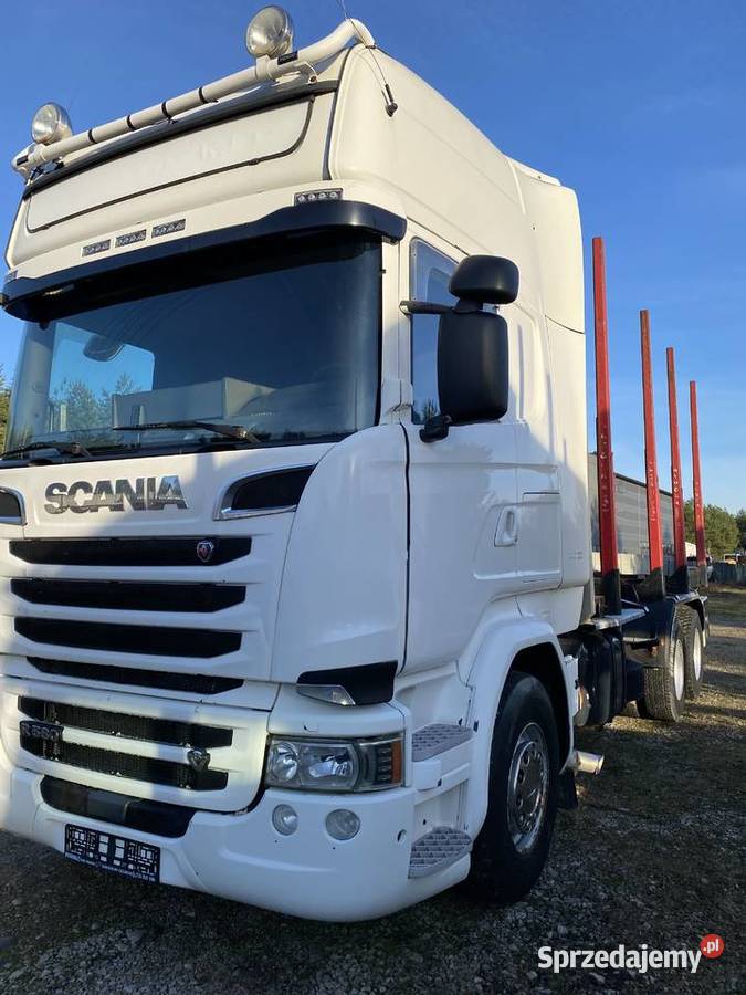 Do drzewa drewna lasu Biłgoraj