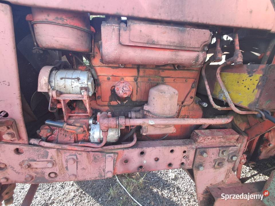 Białoruś jumz Ładowacz czołowy Zielona Góra sprzedam