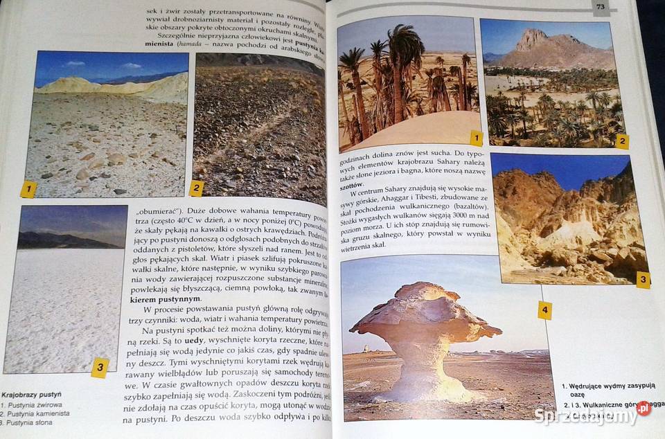 Geografia 5 Mirosław Czerny Andrzej Czerny Rok wydania 1997 Pozostałe Chełm sprzedam