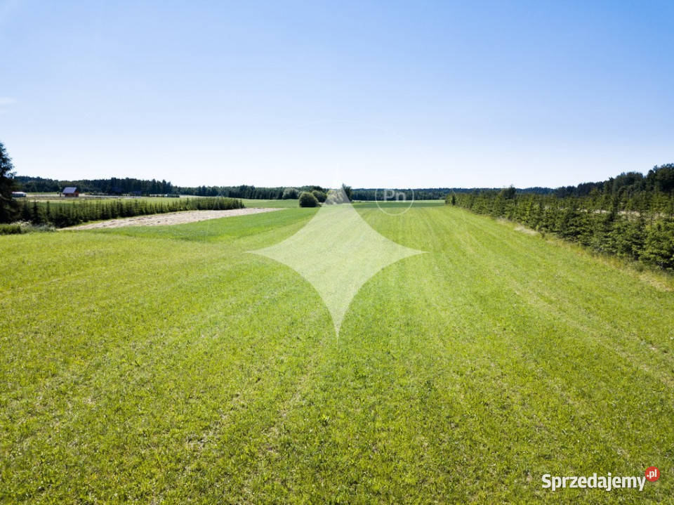 Działka rolna Jeziorem Białym Rajgrodzkim rolna Romoty