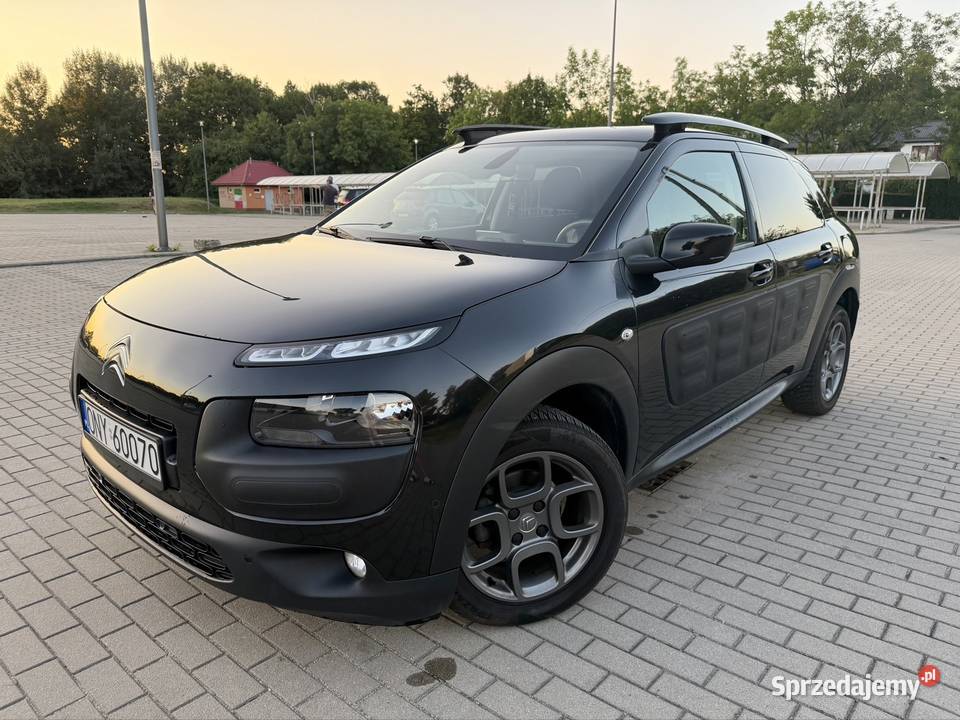 Citron C4 Cactus 4/5 C4 Cactus
