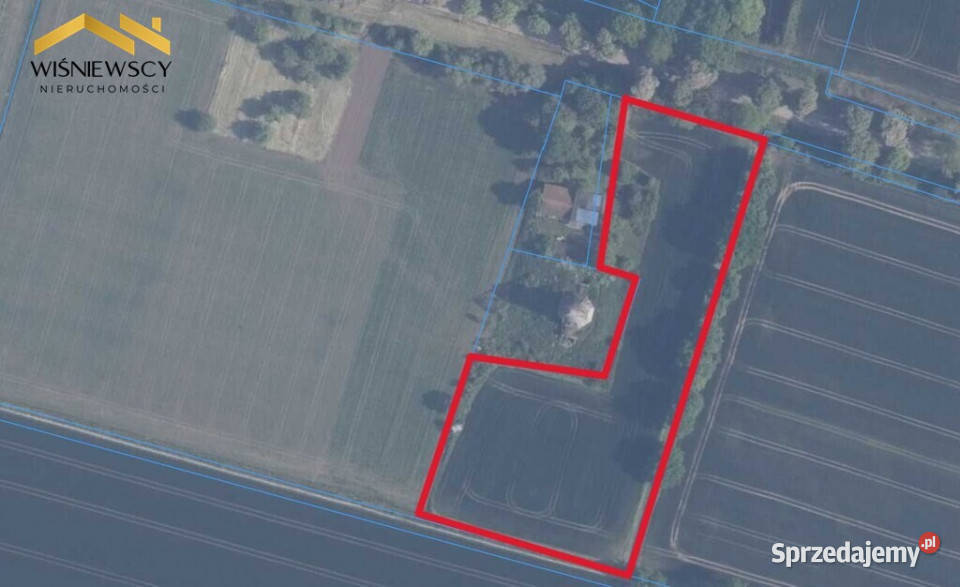 445 ha gruntów rolnych Palczewo