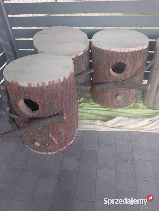 Amazonka budka lęgowa Wodzisław Śląski sprzedam