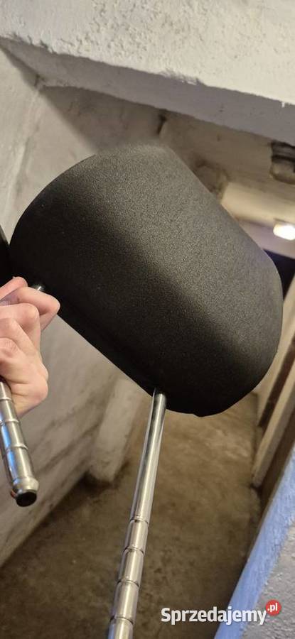 Zagłówki Vw Golf 4 IV Bora Seat Leon Toledo osobowe Słupsk
