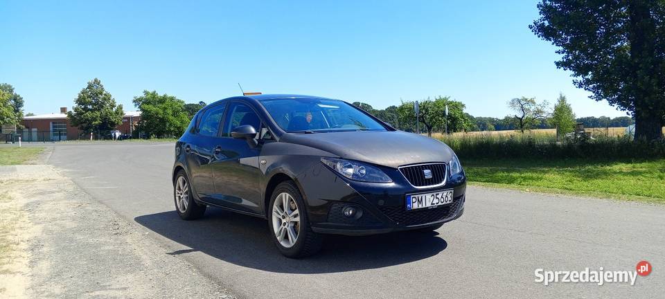 Seat Ibiza IV 16 MPI Gościeszyn