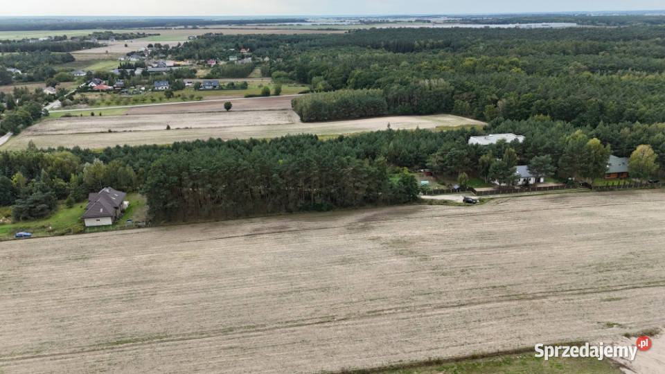 Pomiechówek Wymysły 4332m2 budowlana 38 do mazowieckie sprzedam