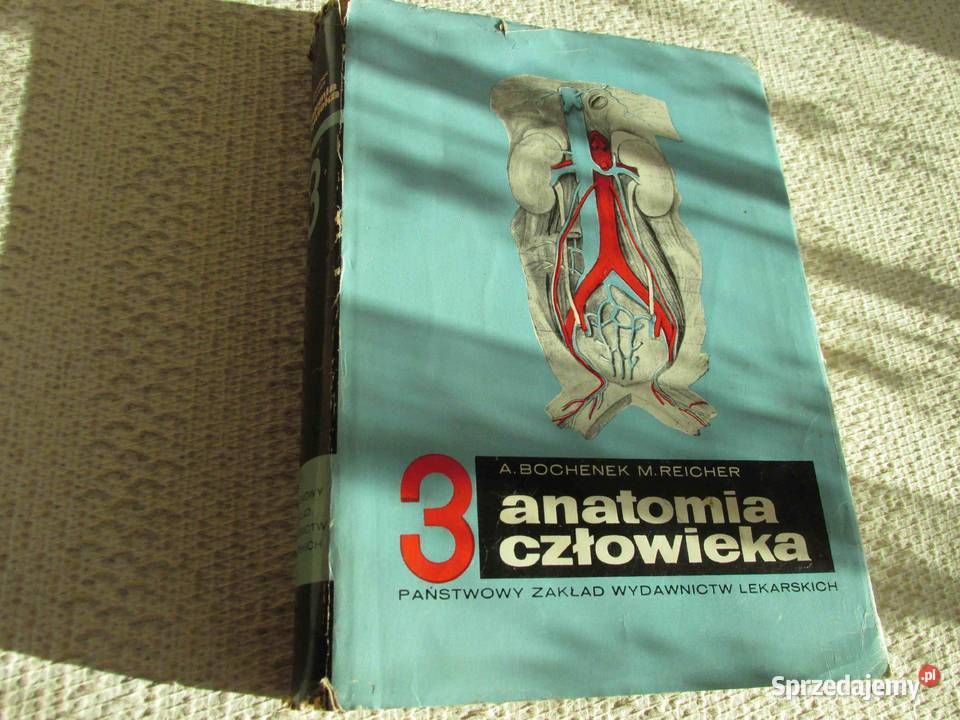 Anatomia CzłowiekaBochenek Tom3 PZWL 1974r lubuskie Lipki Wielkie