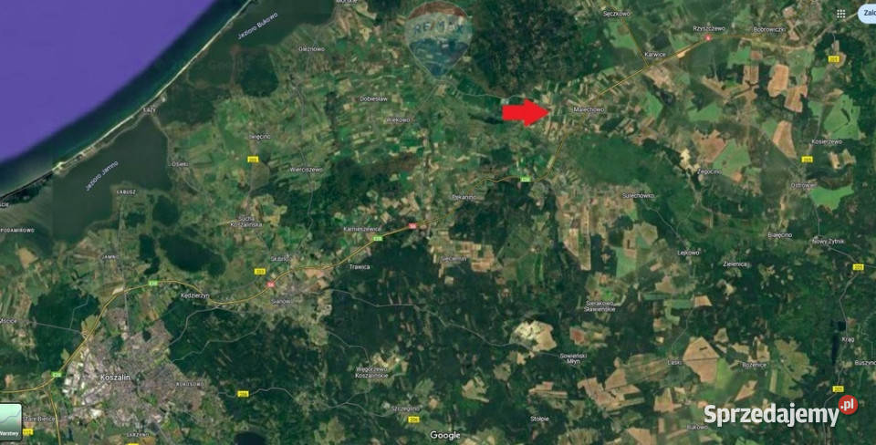 Działka 12 ha z potencjałem inwestycyjnym Górzyca