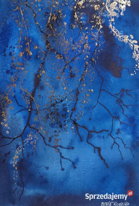 Akwarela Akwarelka Obraz pt Tajemniczy Ogród Malarstwo warmińsko-mazurskie Olsztyn sprzedam