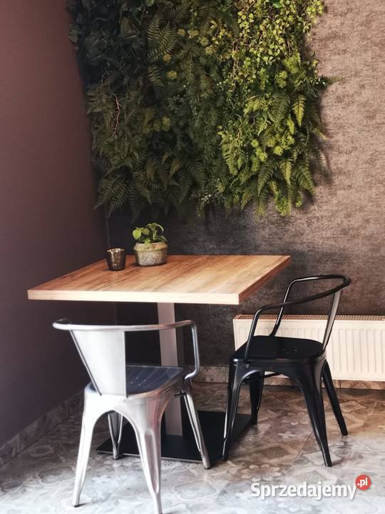 ŚCIANKI ZIELENI DEKORACJE ZE SZTUCZNYCH KWIATÓW Mikołów sprzedam