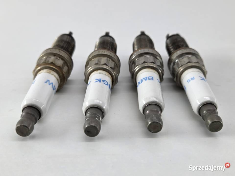 SWIECA BMW ZKBR7A Janowice