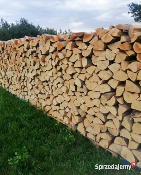 Drewno kominkowe opałowe buk pocięte i porąbane Kielce