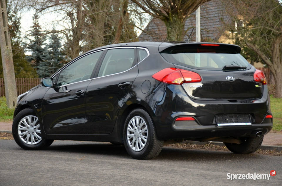 Kia Ceed Opłacona 16GDi 135 Serwis Navi Kutno